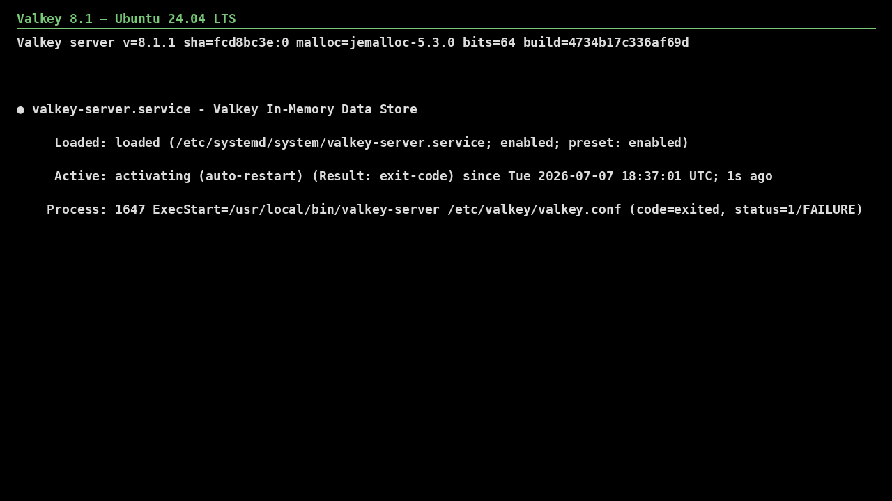 Valkey on Ubuntu 24.04 LTS screenshot